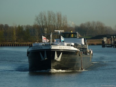 Serafina-2-26-11-2015.jpg (166.47 Kio) Vu 1753 fois Serafina-2-26-11-2015.jpg