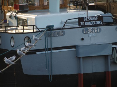 PB124755 (Copier).JPG (310.12 Kio) Vu 2271 fois PB124755 (Copier).JPG