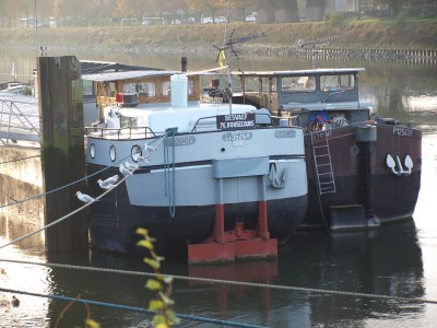 PB124754 (Copier).JPG (432.44 Kio) Vu 2271 fois PB124754 (Copier).JPG