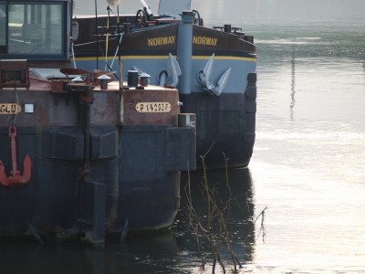 PB124742 (Copier).JPG (350.11 Kio) Vu 2898 fois PB124742 (Copier).JPG