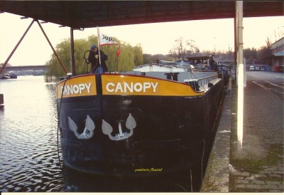 40_Fotor (800x547).jpg (264.3 Kio) Vu 2530 fois 40_Fotor (800x547).jpg