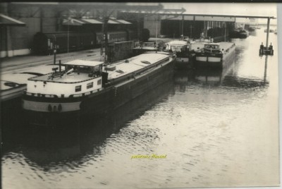 24_Fotor (2).jpg (181.03 Kio) Vu 2117 fois 24_Fotor (2).jpg