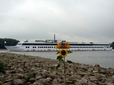 De Zonnebloem-2-25-09-2015-Oosterhout.jpg (180.35 Kio) Vu 2284 fois De Zonnebloem-2-25-09-2015-Oosterhout.jpg