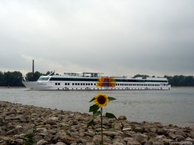 De Zonnebloem-1-25-09-2015-Oosterhout.jpg (156.02 Kio) Vu 2284 fois De Zonnebloem-1-25-09-2015-Oosterhout.jpg