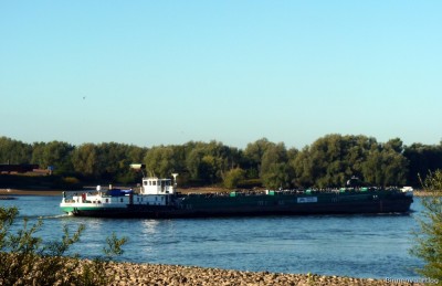 Aubrig-2-27-09-2015-Oosterhout.jpg (153.19 Kio) Vu 2949 fois Aubrig-2-27-09-2015-Oosterhout.jpg