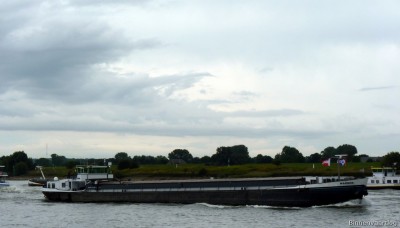 Warber-2-27-08-2015.jpg (98.3 Kio) Vu 1386 fois Warber-2-27-08-2015.jpg