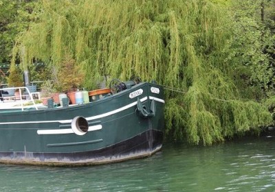 royal actuel 2.jpg (71.02 Kio) Vu 4491 fois royal actuel 2.jpg