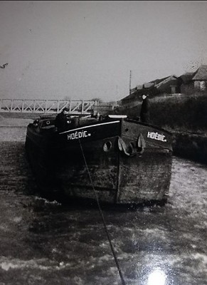 hoedic.JPG (56.47 Kio) Vu 4264 fois hoedic.JPG