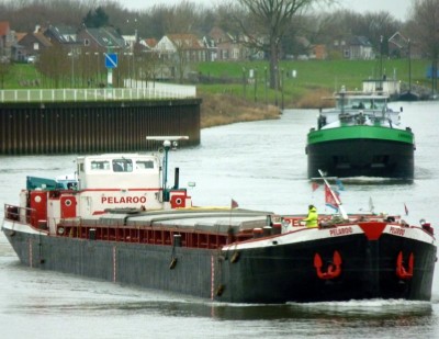 Pelaroo-2-05-01-2016.jpg (94.16 Kio) Vu 1368 fois Pelaroo-2-05-01-2016.jpg