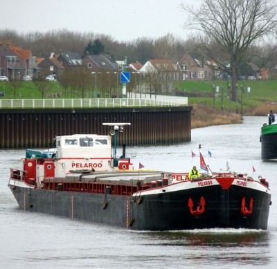 Pelaroo-1-05-01-2016.jpg (127.96 Kio) Vu 1368 fois Pelaroo-1-05-01-2016.jpg