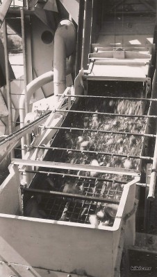 9 - CNR 2 - août 1952 - Donzère - Essais de la drague CNR 2 - criblage des matériaux (Copier).jpg (151.97 Kio) Vu 3525 fois 9 - CNR 2 - août 1952 - Donzère - Essais de la drague CNR 2 - criblage des matériaux (Copier).jpg