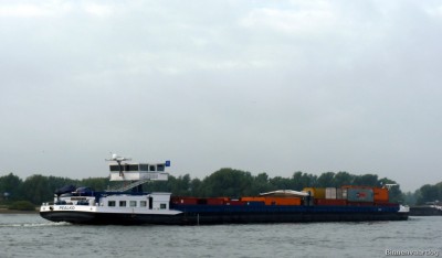 Pealko-4-25-09-2015.jpg