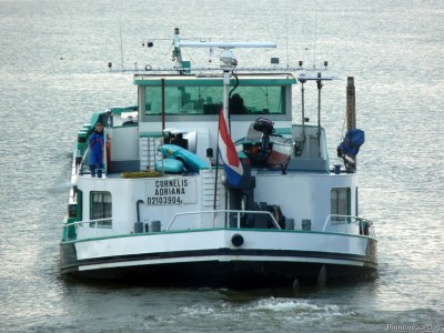 Cornelis-Adriana-4-13-01-2016-sluis-Lith.jpg (233.76 Kio) Vu 1588 fois Cornelis-Adriana-4-13-01-2016-sluis-Lith.jpg