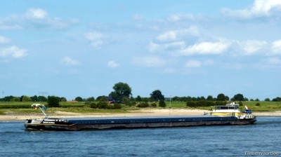 Descanso-1-08-08-2015-Ewijk.jpg (115.19 Kio) Vu 2234 fois Descanso-1-08-08-2015-Ewijk.jpg