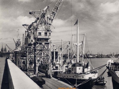 Alcyon Bordeaux.jpg (155.75 Kio) Vu 5375 fois Alcyon Bordeaux.jpg