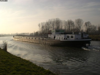 CIMG2334.JPG