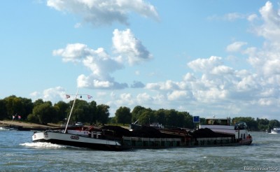 Orava-2-26-09-2015-Oosterhout.jpg