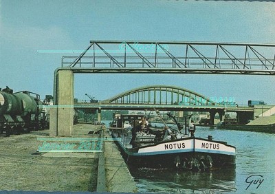 notus 0.jpg (220.66 Kio) Vu 1441 fois notus 0.jpg