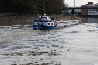 IMG_1191.JPG (142.05 Kio) Vu 6809 fois IMG_1191.JPG