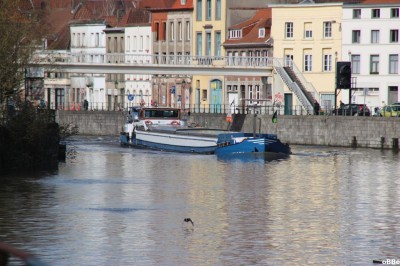 IMG_1181.JPG (159.67 Kio) Vu 6809 fois IMG_1181.JPG