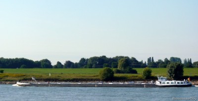 P1210964.jpg (98 Kio) Vu 1379 fois P1210964.jpg