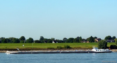 P1210963.jpg (117.25 Kio) Vu 1379 fois P1210963.jpg