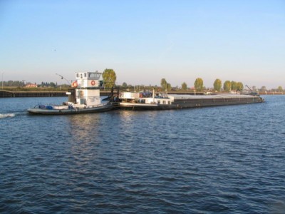 sternasuzette1013102007.jpg (61.38 Kio) Vu 2482 fois sternasuzette1013102007.jpg