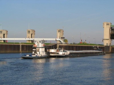 sternasuzette813102007.jpg (50.84 Kio) Vu 2482 fois sternasuzette813102007.jpg