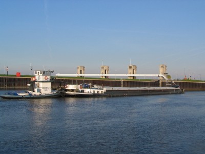 sternasuzette613102007.jpg (186.42 Kio) Vu 2476 fois sternasuzette613102007.jpg