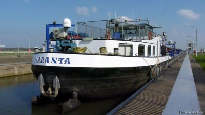 Maranta-4-10-04-2016-Sambeek.jpg (114.27 Kio) Vu 5738 fois Maranta-4-10-04-2016-Sambeek.jpg