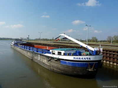 Maranta-3-10-04-2016-Sambeek.jpg (148.54 Kio) Vu 5922 fois Maranta-3-10-04-2016-Sambeek.jpg