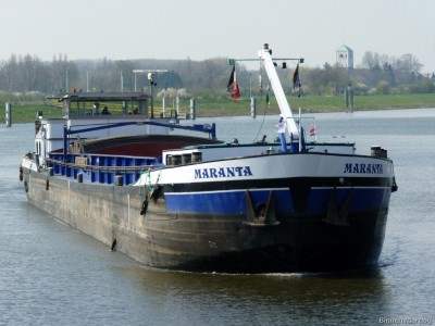 Maranta-2-10-04-2016-Sambeek.jpg (169.06 Kio) Vu 5738 fois Maranta-2-10-04-2016-Sambeek.jpg