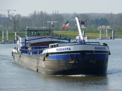 Maranta-1-10-04-2016-Sambeek.jpg (191.49 Kio) Vu 5934 fois Maranta-1-10-04-2016-Sambeek.jpg