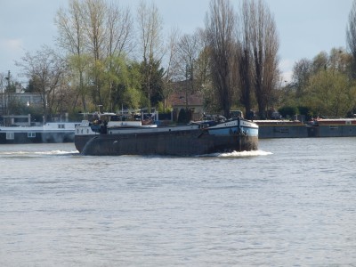 P4085051 (Copier).JPG (1.03 Mio) Vu 8613 fois P4085051 (Copier).JPG