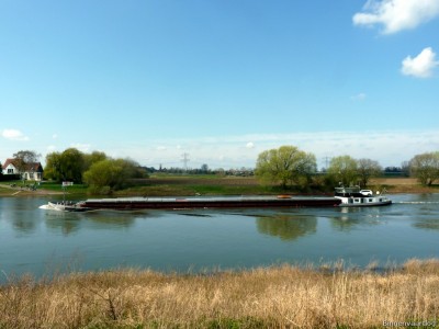 Halley-2-09-04-2016-Baarlo.jpg