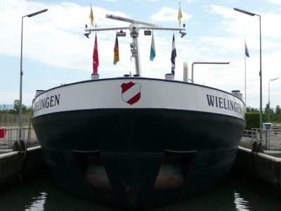 WIELINGEN - Vogelgrün - septembre 2008 (037).JPG