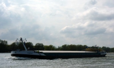 Cygnus-4-16-04-2016-Oosterhout.jpg (101.47 Kio) Vu 1596 fois Cygnus-4-16-04-2016-Oosterhout.jpg