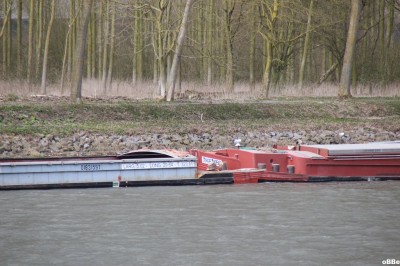 IMG_1453.JPG (153.69 Kio) Vu 5618 fois IMG_1453.JPG