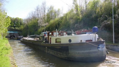 GINARD à Vendhuile - 3 mai 2016 (2).JPG