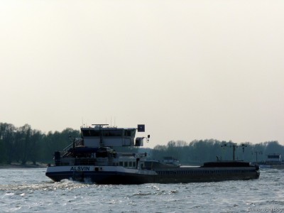 Alsvin-5-14-04-2016-Oosterhout.jpg