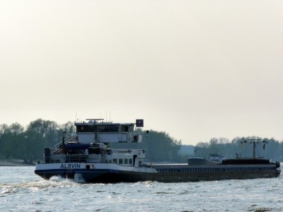 Alsvin-4-14-04-2016-Oosterhout.jpg