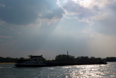 Alsvin-3-14-04-2016-Oosterhout.jpg (101.47 Kio) Vu 2456 fois Alsvin-3-14-04-2016-Oosterhout.jpg