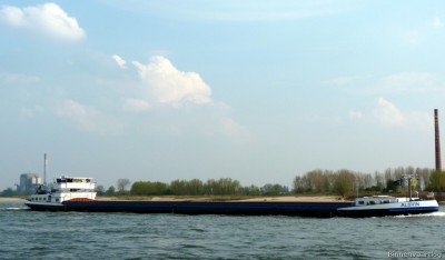 Alsvin-1-14-04-2016-Oosterhout.jpg