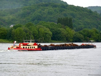 Solist-3-24-05-2016.jpg (209.14 Kio) Vu 2004 fois Solist-3-24-05-2016.jpg