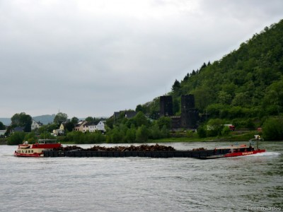 Solist-1-24-05-2016.jpg (155.27 Kio) Vu 2004 fois Solist-1-24-05-2016.jpg