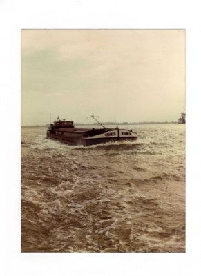 img007.jpg