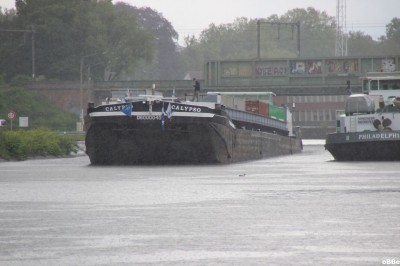 IMG_1895.JPG