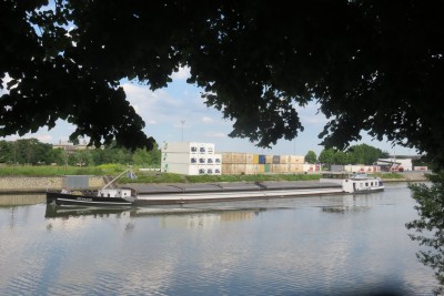 mustang-bonneuil-av.JPG