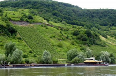 KVB-Futura-Matura-3-03-07-2016.jpg (258.19 Kio) Vu 2293 fois KVB-Futura-Matura-3-03-07-2016.jpg