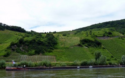 KVB-Futura-Matura-2-03-07-2016.jpg (176.07 Kio) Vu 2289 fois KVB-Futura-Matura-2-03-07-2016.jpg